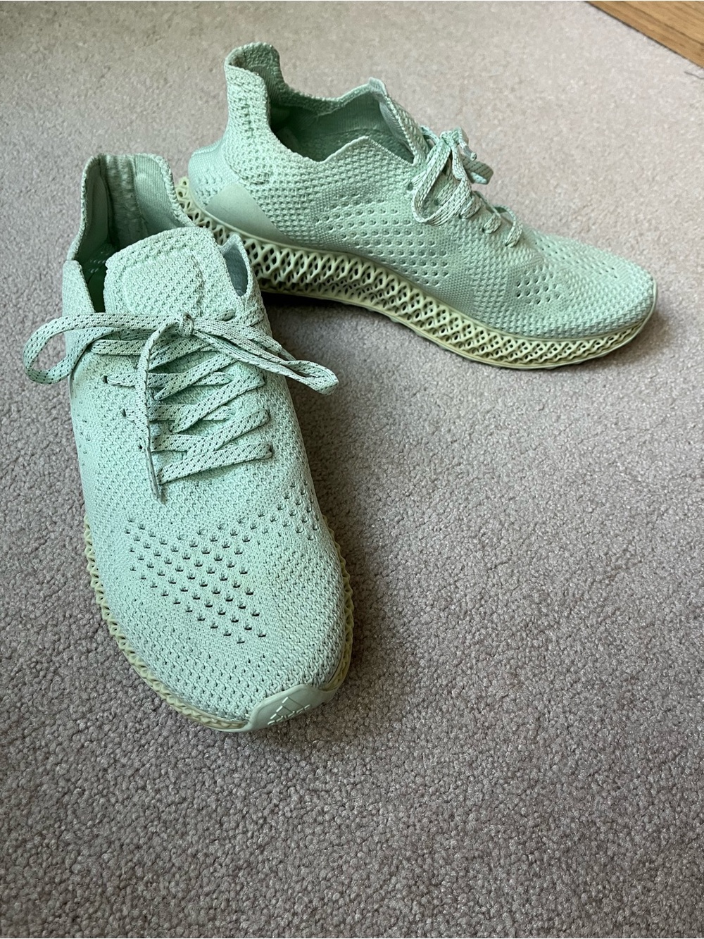 Adidas-The Daniel Arsham Futurecraft 4D Sneakers size 9 1/2